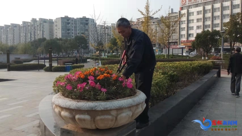 宿松縣山水公園加強秋季綠化管護助力文明城市創建 (1).jpg