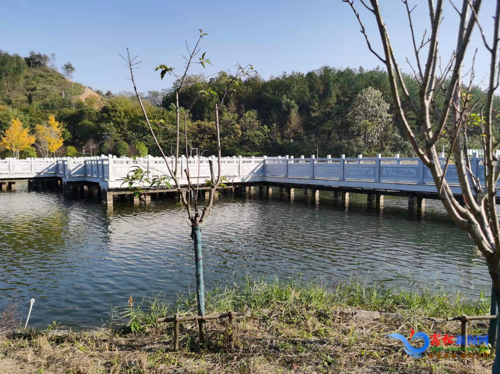 宿松縣山水公園景觀改造工程竣工投入使用 (1).jpg