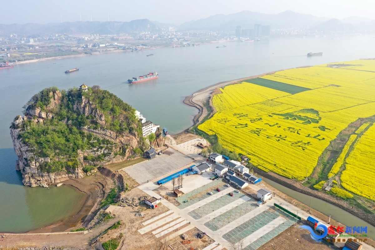俯瞰觀光油菜基地 (1).jpg