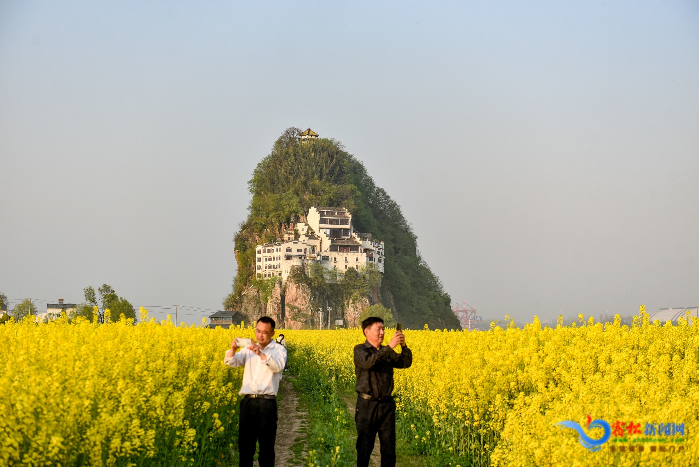 游客賞花.JPG